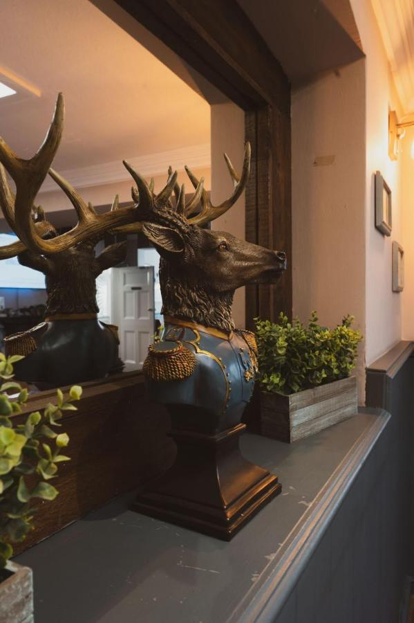 The Stag Hotel And Mailmans Arms Lyndhurst Eksteriør billede
